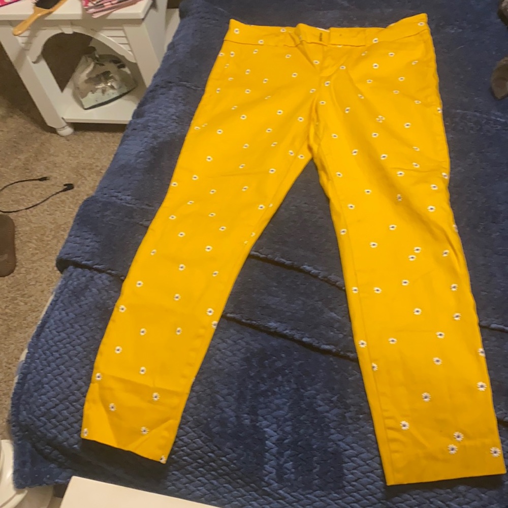 Pixie Pant